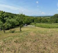 Kráľovský Chlmec Recreational land Sale reality Trebišov