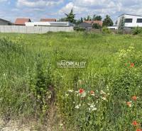 Bernolákovo Land – for living Sale reality Senec