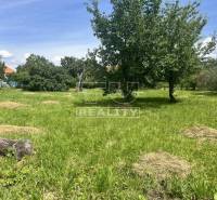 Topoľčianky Land – for living Sale reality Zlaté Moravce