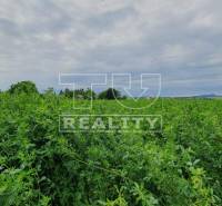 Žitavany Land – for living Sale reality Zlaté Moravce