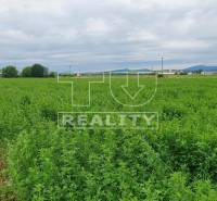 Žitavany Land – for living Sale reality Zlaté Moravce