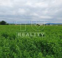 Žitavany Land – for living Sale reality Zlaté Moravce