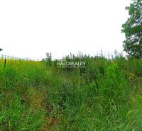 Horná Krupá Land – for living Sale reality Trnava