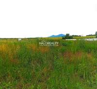 Horná Krupá Land – for living Sale reality Trnava