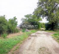 Kalinkovo Agrarian and forest land Sale reality Senec