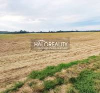 Kalinkovo Agrarian and forest land Sale reality Senec