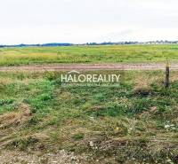 Kalinkovo Agrarian and forest land Sale reality Senec