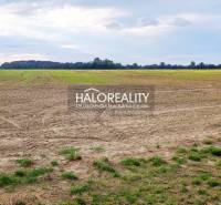 Kalinkovo Agrarian and forest land Sale reality Senec