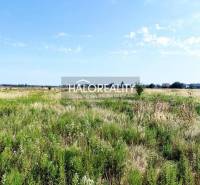 Kalinkovo Agrarian and forest land Sale reality Senec