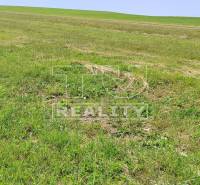 Dohňany Land – for living Sale reality Púchov