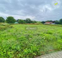 Dulova Ves Land – for living Sale reality Prešov