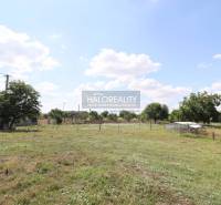 Želiezovce Land – for living Sale reality Levice