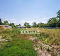 Chorvátsky Grob Land – for living Sale reality Senec