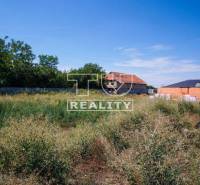 Chorvátsky Grob Land – for living Sale reality Senec