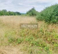 BA - Vajnory Land – for living Sale reality Bratislava - Vajnory