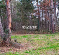 Plavecký Štvrtok Recreational land Sale reality Malacky