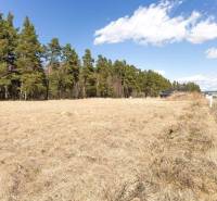 Veľká Lomnica Land – for living Sale reality Kežmarok