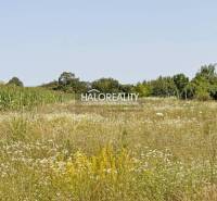 Chotín Land – for living Sale reality Komárno