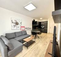 One bedroom apartment Rent reality Bratislava IV