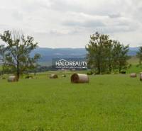 Slovenská Ves Land – for living Sale reality Kežmarok