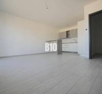 Nitra One bedroom apartment Sale reality Nitra