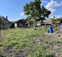 Veľké Dvorníky Land – for living Sale reality Dunajská Streda