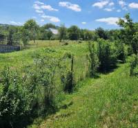 Kendice Land – for living Sale reality Prešov