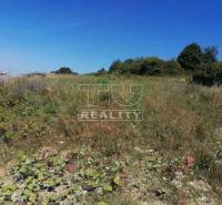 Nová Dubnica Land – for living Sale reality Ilava