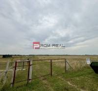 Agrarian and forest land Sale reality Bratislava V