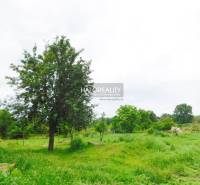 Pataš Land – for living Sale reality Dunajská Streda