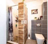 Kvetoslavov Three bedroom apartment Sale reality Dunajská Streda