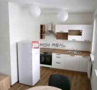 One bedroom apartment Rent reality Bratislava III