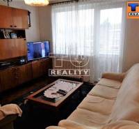 Handlová One bedroom apartment Sale reality Prievidza