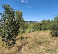 Bratislava - Karlova Ves Land – for living Sale reality Bratislava - Karlova Ves