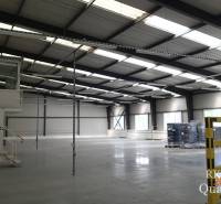 Senec Storehouses and Workshops Sale reality Senec