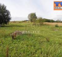 Beladice Land – for living Sale reality Zlaté Moravce