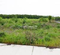 Chorvátsky Grob Land – for living Sale reality Senec