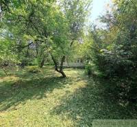 Podhorany Land – for living Sale reality Nitra