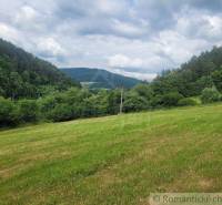 Záriečie Agrarian and forest land Sale reality Púchov