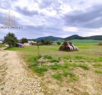 Uzovský Šalgov Agrarian and forest land Sale reality Sabinov