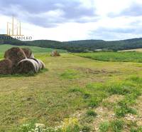 Uzovský Šalgov Agrarian and forest land Sale reality Sabinov