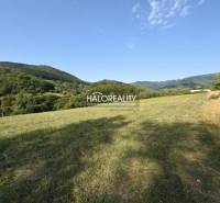 Ostrý Grúň Recreational land Sale reality Žarnovica