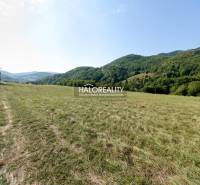 Ostrý Grúň Recreational land Sale reality Žarnovica