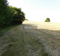 Banská Štiavnica Land – for living Sale reality Banská Štiavnica