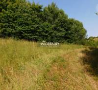 Banská Štiavnica Land – for living Sale reality Banská Štiavnica