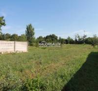 Horné Saliby Land – for living Sale reality Galanta