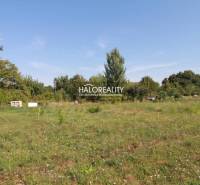 Horné Saliby Land – for living Sale reality Galanta