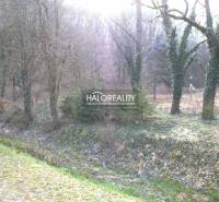 Jalšové Land – for living Sale reality Hlohovec