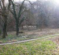 Jalšové Land – for living Sale reality Hlohovec