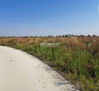 Hrubá Borša Land – for living Sale reality Senec